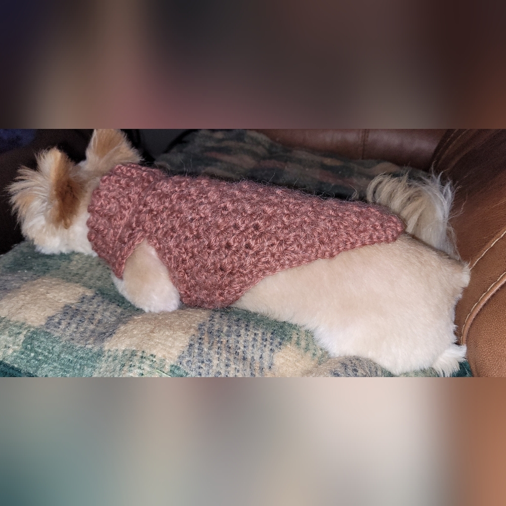 X-small dog sweater - Picture 3 of 5